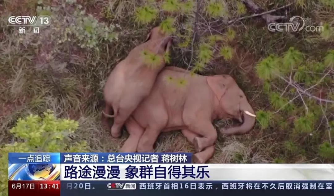 千亿平台-千亿(中国)一站式服务平台
